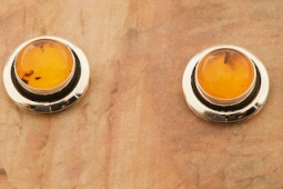 Artie Yellowhorse Genuine Amber Sterling Silver Post Earrings